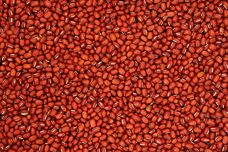red bean, pattern, texture, nature, grain, farming, crop