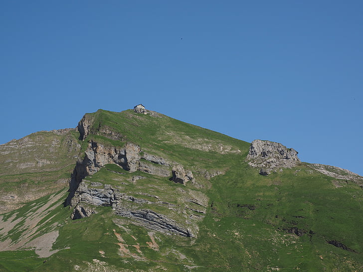 ebenalp, bjerge, Alpine, hytte, Berggasthaus schäfler, Mountain, Inn schäfler