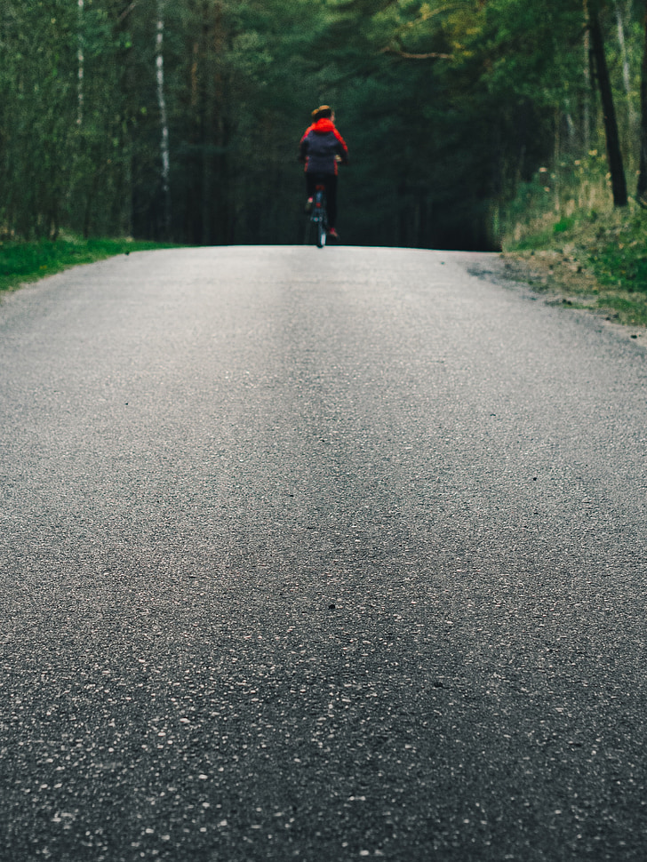 cyling, biking, road, forest, nature, woods, cycle