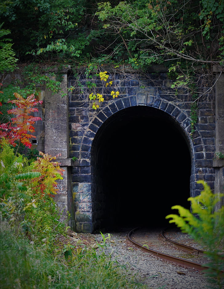 арка, растения, железопътен, железопътната линия, железопътните, тунел