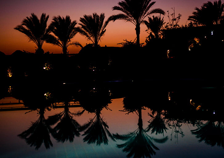 palm trees, mirroring, pool, idyll, holiday, abendstimmung, sunset