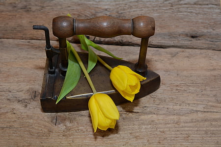 Tulip, flor, schnittblume, flor de primavera, amarillo, flor amarilla, madera