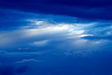 birds, blue sky, clouds, light, sky, storm