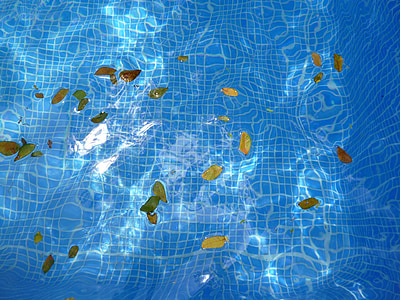 water, leaves, float, floating, background, texture, light