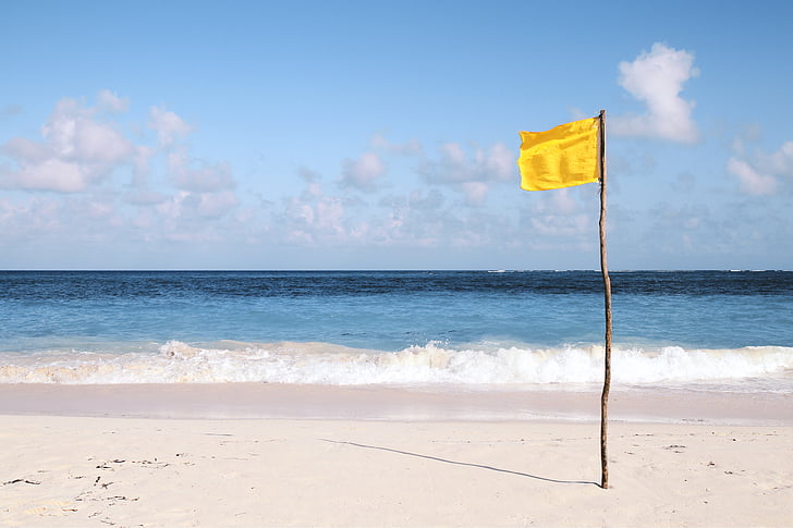 flag, beach, coast, shore, waves, water, warning