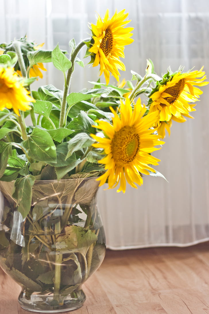 sunflowers, vase, flower, yellow, plant, bouquet, decoration