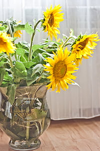 bunga matahari, vas, bunga, kuning, tanaman, karangan bunga, dekorasi
