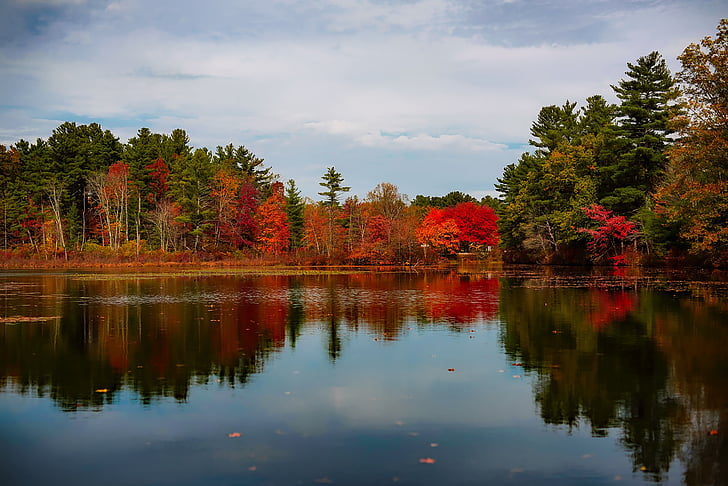 Massachusetts, Danau, air, refleksi, pemandangan, indah, musim gugur