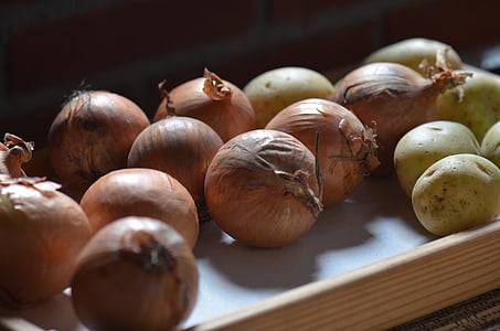 onions, potato, food, vegetable, freshness, organic, autumn