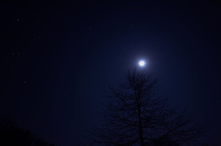 noč, drevo, nebo, luna, temno, krajine