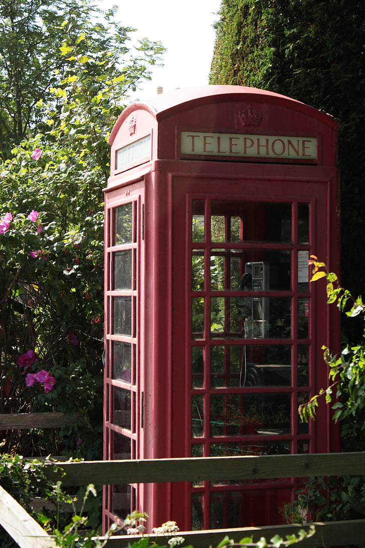 điện thoại, Scotland, Thiên nhiên, Vương Quốc Anh, mùa hè, cây bụi, overgrown
