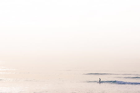naturaleza, agua, mar, Océano, ondas, personas, persona que practica surf