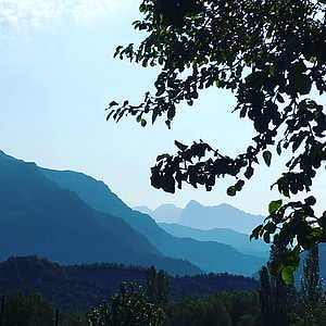 Pirineo Aragonés, montañas, árbol, tonos