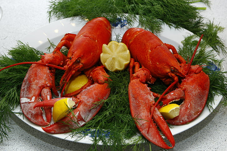 Lobster, dimasak, Denmark, bekas lobster, dill, makanan laut, kelezatan