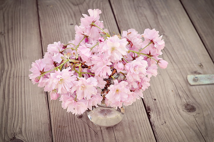 cherry blossoms, cherry blossom branch, flowers, pink, pink flowers, vase, wood