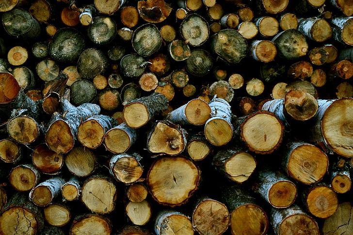 registri, betulla, albero, legna da ardere, ceppo
