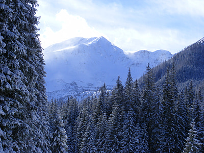 winter, Tatry, Polen, Kościeliska vallei, Bergen, Tatra gebergte in de winter, sneeuw