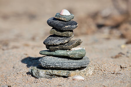 beach, stones, shells, sand, sea, sassi, pebbles