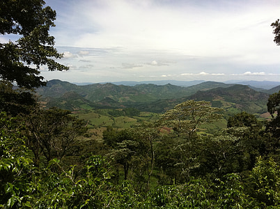 Plantation, kaffe, Nicaragua, djungel, landskap, vildmarken, vacker natur