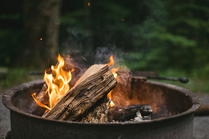 wood, fire, bonfire, campfire, trees, ash, heat