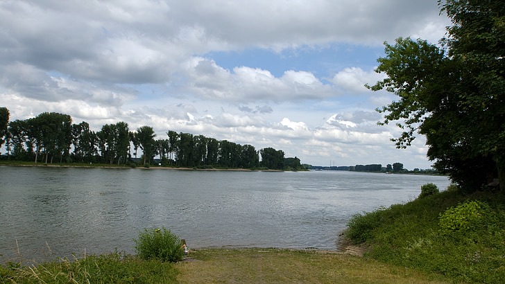 Rhin, eau, paysage de rivière, Banque