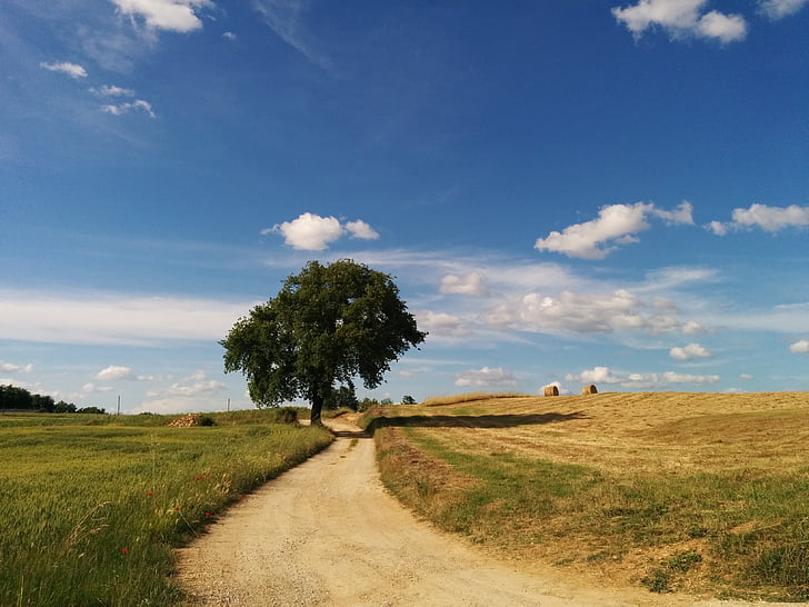 road, landscape, tree, cloud, sky