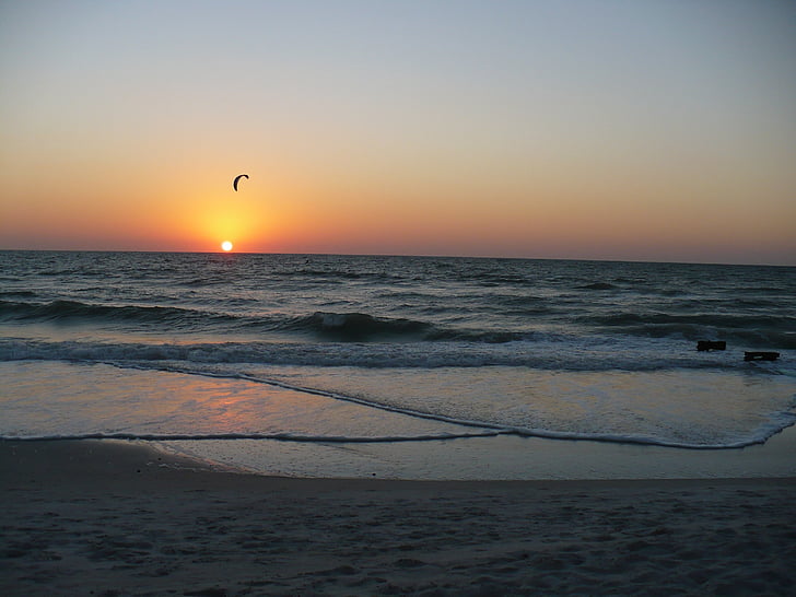 sunset, windsurfer, beach, sea, nature, water, sky