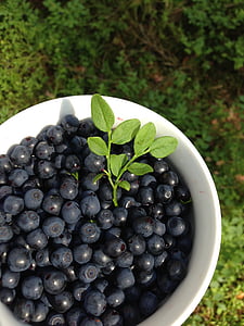 berries, blueberries, summer, bilberry, healthy food, mature, vitamins
