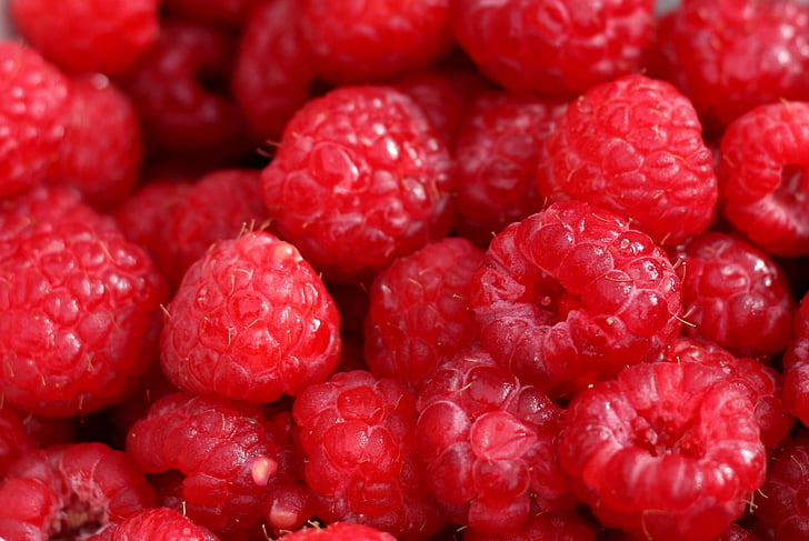 reed, raspberries, red, fruits, food, healthy, fruit