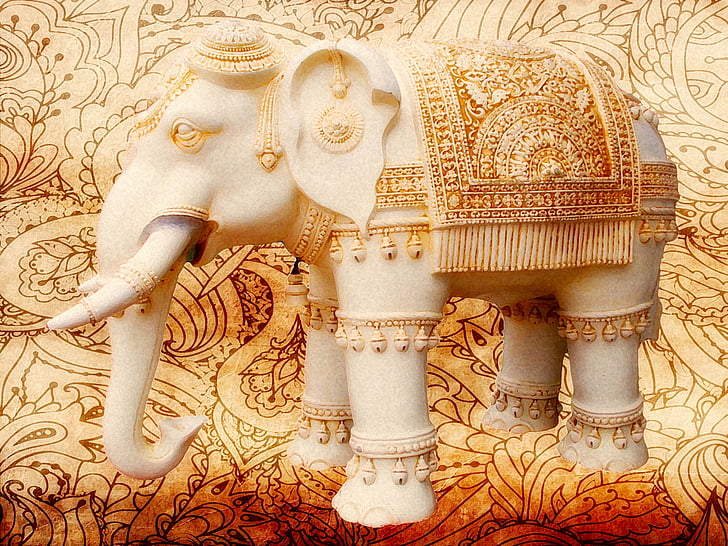 sloni, indické, zdobené, hennou, zvíře, Asijské, hlava