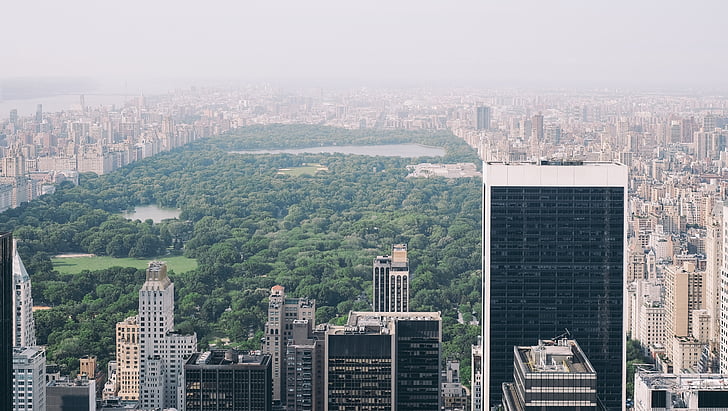 Central park, New york, NYC, Manhattan, New york city, wazig, Haze