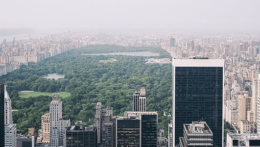 Central park, New york, NYC, Manhattan, Kota New york, kabur, kabut