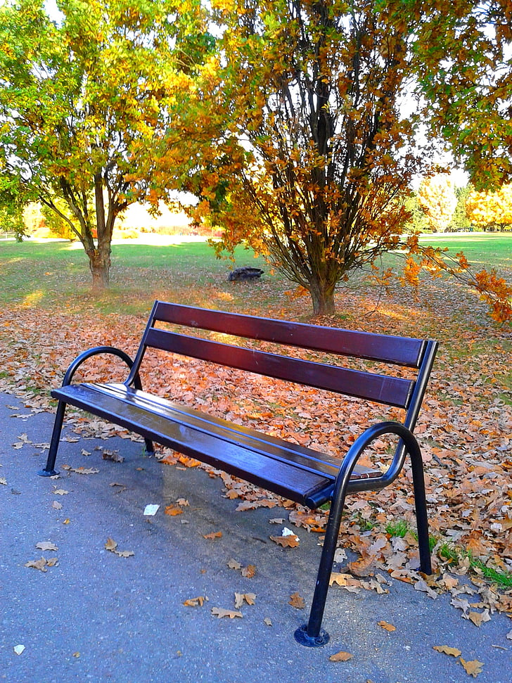 bench, autumn, nature