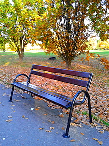 băng ghế dự bị, mùa thu, Thiên nhiên