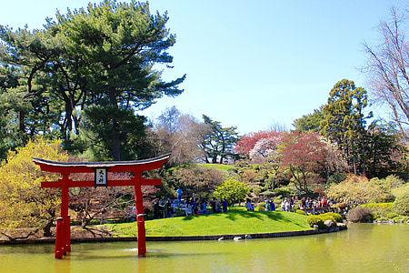 japončina, Arch, rybník, Príroda, Príroda