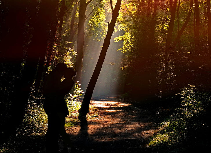pair, lovers, forest, romance, sunlight, incidence of light, mystical
