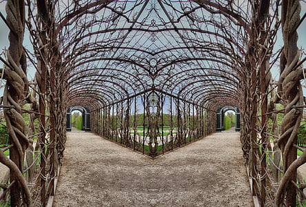 pergola, roses, branches, plant, symmetry, rosary, perspective