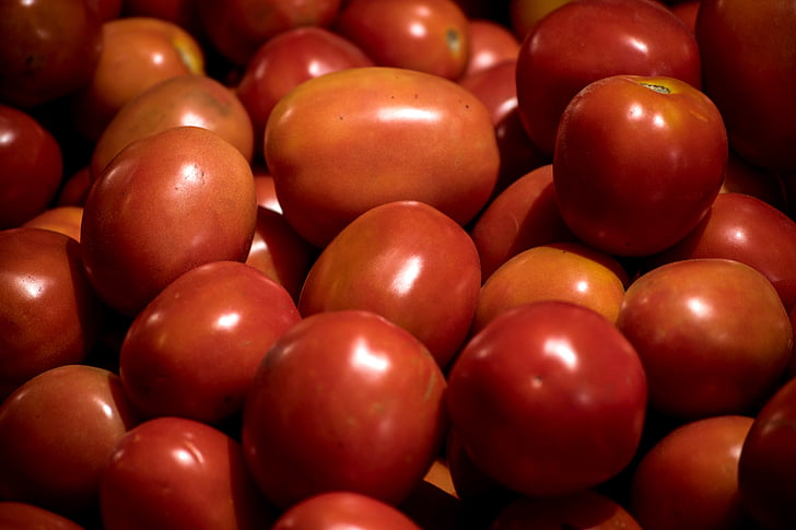 tomato, vegetable, food