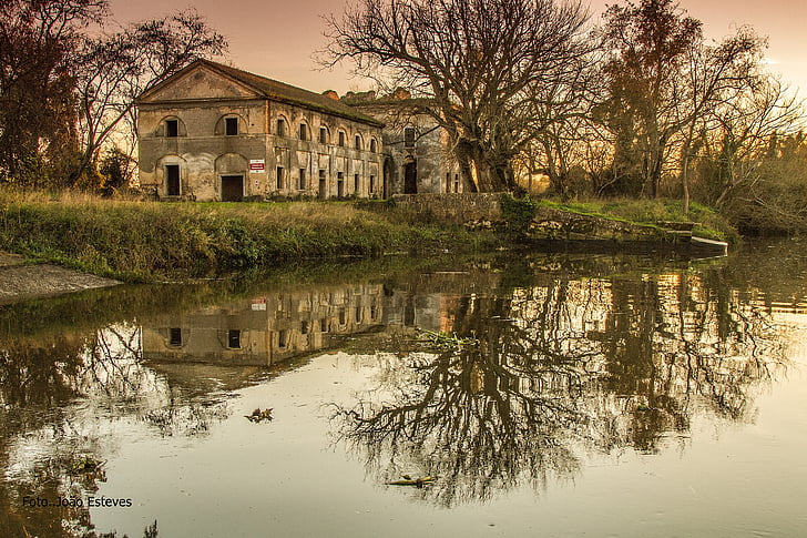 palace, queen, azambuja, portugal, reflection, house, tree