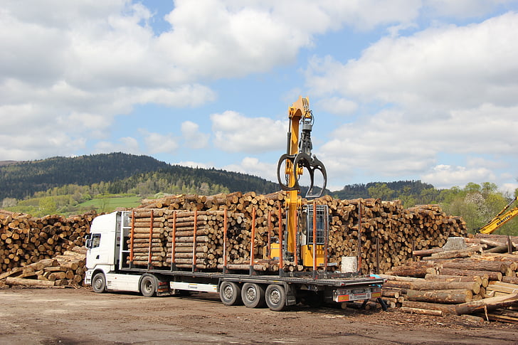 tir, truck, transport, wood, logs, industry, equipment