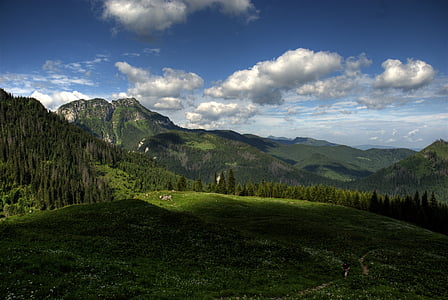 Tatrai, Lenkija, czerwone wierchy, miško, kalnai, perspektyvas, kraštovaizdžio