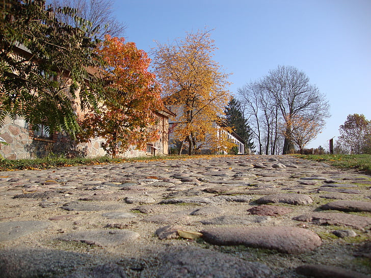 sierpc, poland, open air museum, way, the stones, autumn, tree