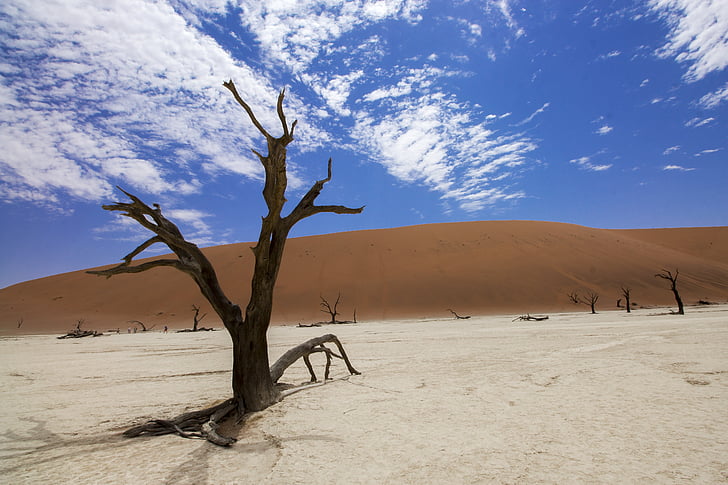 Sossusvlei, Deadvlei, öken, Afrika, Namibia, Sand, Dunes
