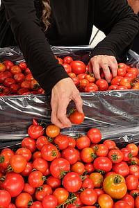 tomaten, gezonde, organische, markt
