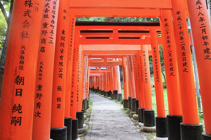 road, path, tunnel, pattern, gravel, torii, fushimi inari