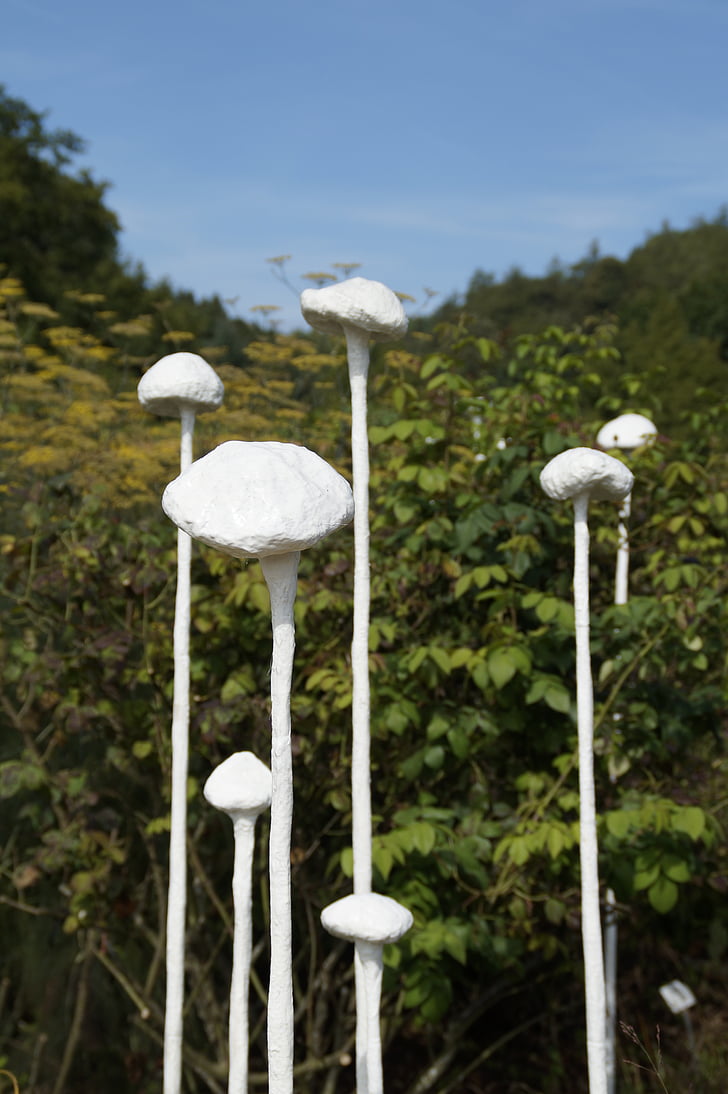 art, mushrooms, white, dummy