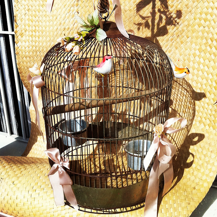 aves, jaula de, Dom, símbolo, metáfora, libertad