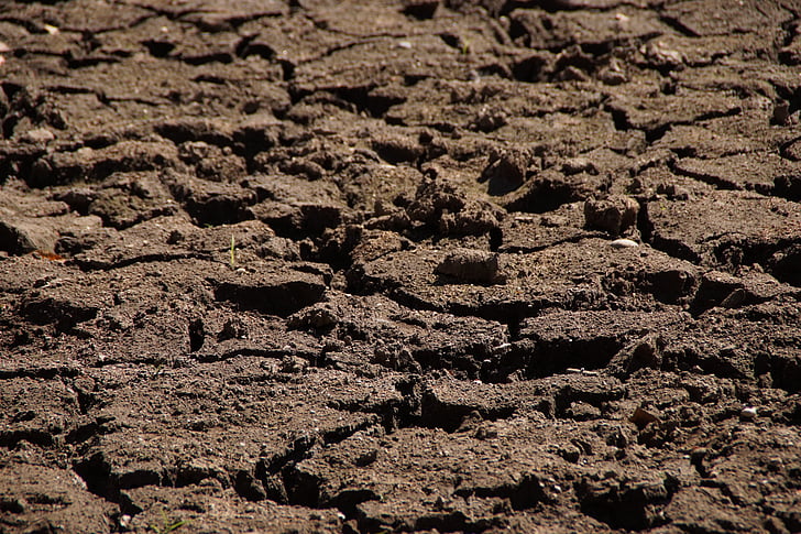 drought, dry, nature, dehydrated, cracked, landscape, earth