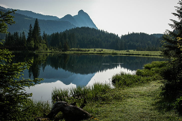 Bergsee, болотные озера, озеро, очистить, Австрия, больше, маленькое озеро