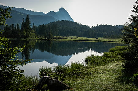 bergsee, bog lake, lake, clear, austria, more, little lake
